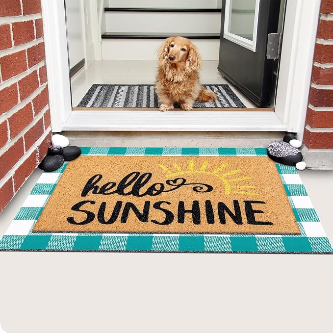 Tinideya 2 Pcs Door Mat Welcome Non Slip Coir Mats Floor Layering Doormats Seasonal for Front Porch Entryway Decor(Sunshine)