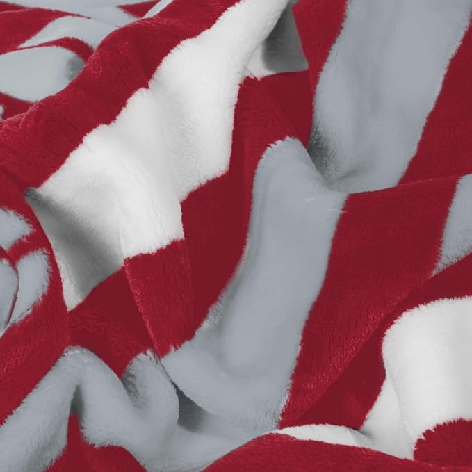 Logo Brands NCAA Raschel Throw Blanket – 50 x 60 Soft Fleece Blanket, Officially Licensed Collegiate Design, Cozy Throw for Tailgating, Game Day, & Home Décor