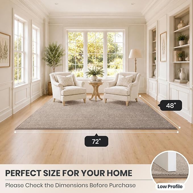 PURRUGS Easy Care Area Rug 4ft x 6ft, Non-Slip Machine Washable Entryway Rug, Dog Door Mat, Stain Resistant Accent Rug for Hallway, Living Room, Bedroom and Mudroom, Taupe