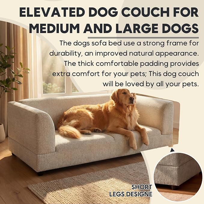 56.5" Dog Sofa Couch for Medium and Large Dogs with Backrest and Armrest, Memory Foam Dog Sofa Bed, Modern Elevated Pet Couch Bed with Legs for Dogs, Beige