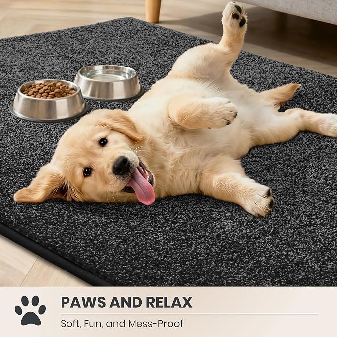 PURRUGS Dirt Trapping Door Mat 24" x 35.5", Non-Slip Machine Washable Entryway Rug, Dog Doormat, Indoor Front Door Mat, Super Absorbent Entry Rug for Muddy Shoes & Paws, Charcoal