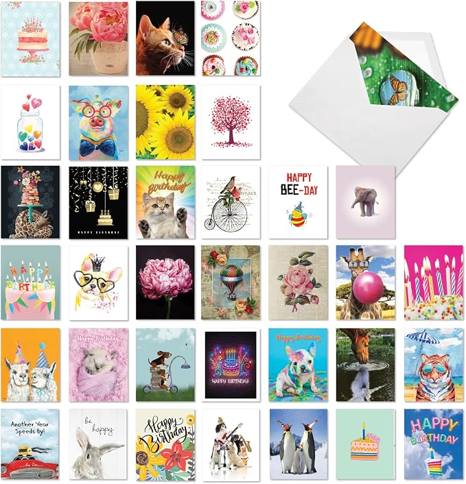 Best Card Co 36 Assorted Funny Birthday Notecards Bulk Box Set 4 x 5.12 Inch with Envelopes (36 Designs, 1 Each) Animals, B-Day Card Variety Pack A Bunch of Birthdays AM7744BDG-B1x36