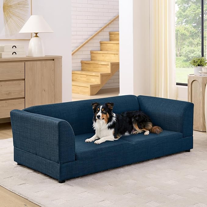 56.5" Dog Sofa Couch for Medium and Large Dogs with Backrest and Armrest, Memory Foam Dog Sofa Bed, Modern Elevated Pet Couch Bed with Legs for Dogs, Blue