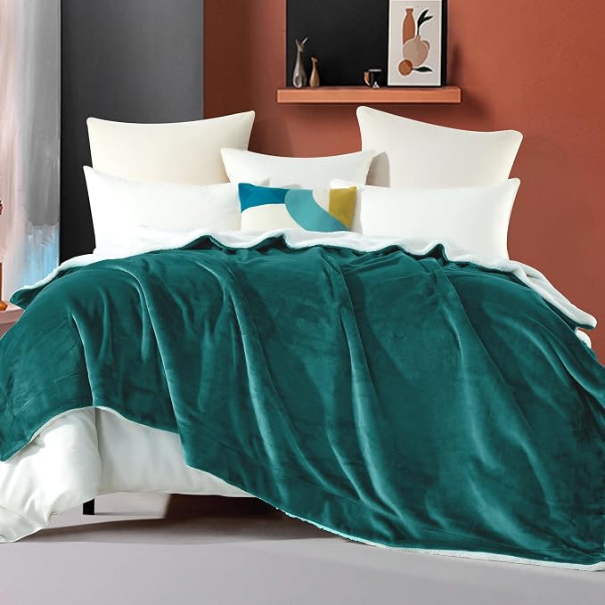 Elegant Comfort Ultra Soft Reversible Flannel Sherpa Blanket - Cozy Silky Fleece Throw for Couch, Bed - Plush Fuzzy Warm Winter Blanket for Gift, Twin XL, Turquoise