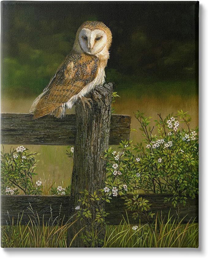 Stupell Industries Barn Owl Fence Woodland, 36 x 48 Inch Canvas Wall Art | Stupell Industries · By Karla Mann · Ready to hang · Perfect for farmhouse decor · Made in USA