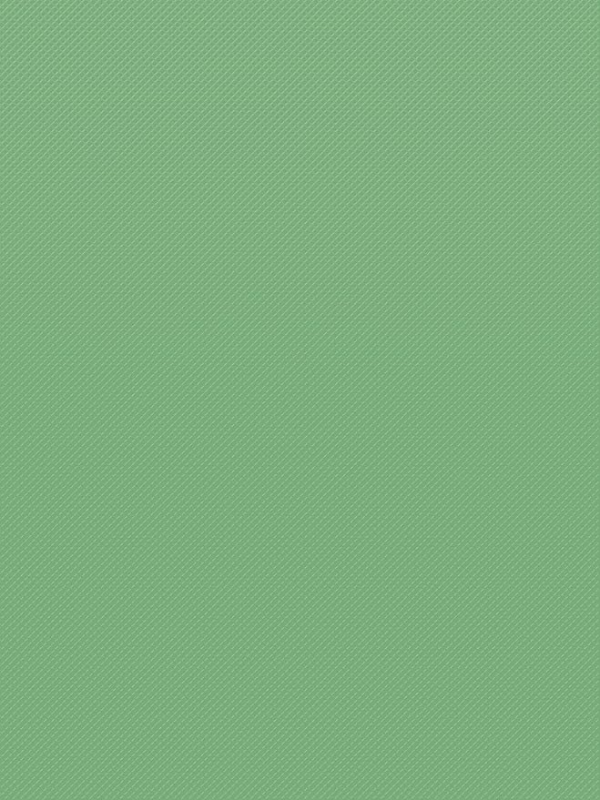 Teacher Created Resources Green Crush Better Than Paper Bulletin Board Roll (TCR77616)