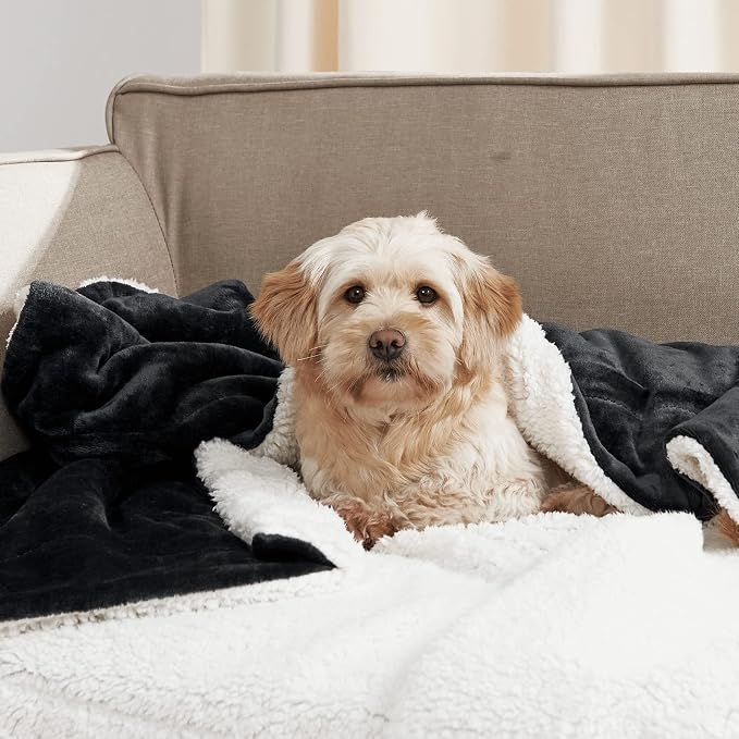 NICETOWN Black Sherpa Fleece Blanket Warm Dual Sided Fluffy Plush Super Soft Lap Blankets and Throws for Kids, Gift Throw Blankets for Women/Baby/All Season, 50 x 60 inches