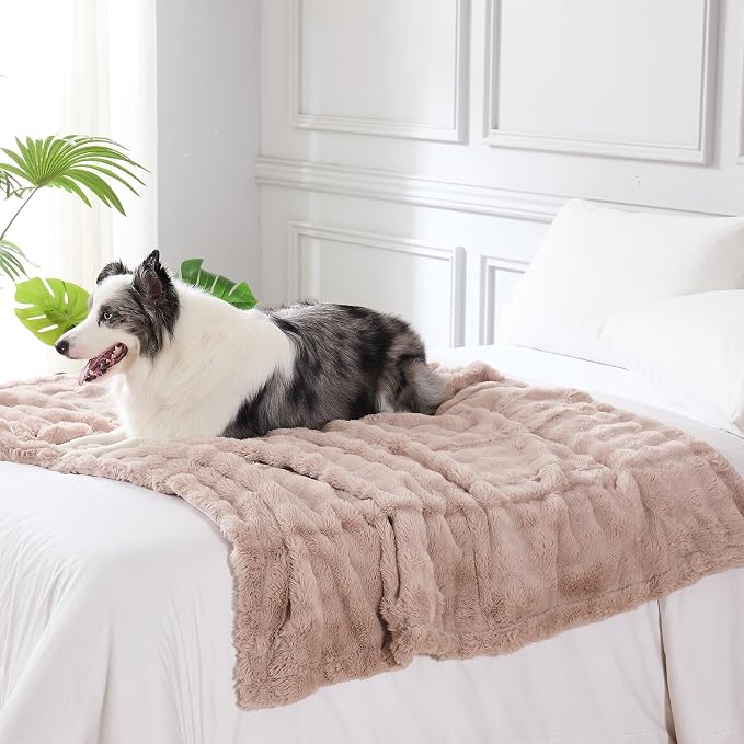 Modern Threads Water-Resistant Faux Rabbit Fur Pet Blanket for Dogs & Cats – Ultra-Soft Couch, Bed & Crate Protector, 50x60 Khaki