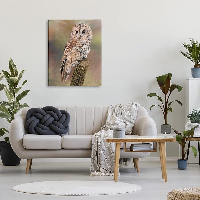 Tawny Owl Woodland Wildlife, 30 x 40 Inch Canvas Wall Art | Stupell Industries · By David Stribbling · Ready to hang · Cabin and lodge decor · Made in USA
