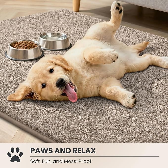 PURRUGS Dirt Trapping Door Mat 34" x 59", Non-Slip Machine Washable Entryway Rug, Dog Doormat, Indoor Front Door Mat, Super Absorbent Entry Rug for Muddy Shoes & Paws, Taupe
