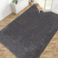 PURRUGS Easy Care Area Rug 6ft x 9ft, Non-Slip Washable Entryway Rug, Stain Resistant Accent Rug for Hallway, Living Room, Bedroom and Mudroom, Light Grey-Dark Grey