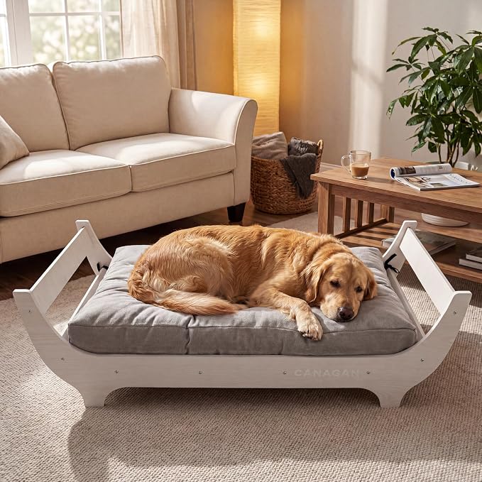 CANAGAN Elevated Wooden Dog Bed with Cushion, White Maple, Large | Raised Dog Couch Bed with a Washable Cover and Plush PP-Filled Cushion, Designed for Large Dogs and Stylish Indoor Living
