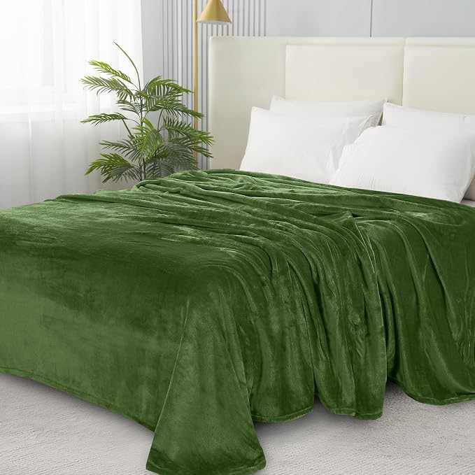 Elegant Comfort Luxury Velvety Softness Fuzzy Plush Micro-Velour Ultra-Soft Blanket, Full/Queen, Green