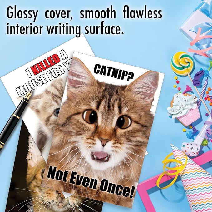 NobleWorks 20 Assorted Box Set Funny Birthday Greeting Cards w/5 x 7 Inch Envelopes (10 Designs, 2 Each) Bday PetiGreet Cats AC4886BDG-B2x10