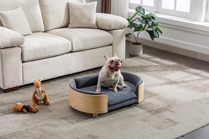 Hayaz Dog Bed Pet Sofa, House Dog Cat Bed, Medium Size Pet Bed with Solid Wood Frame & Washable Velvet Cushion, Modern Pet Furniture for Cats and Small to Medium Dogs, Dark Gray+Natural