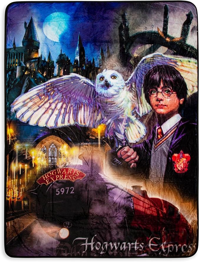 Northwest Harry Potter Silk Touch Sherpa Throw Blanket, Soft Fleece Cover, Cozy Couch Blanket 60" x 80", Potter Magic Montage