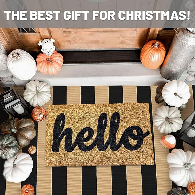 IOHOUZE Black Tan Rug 3x5 Ft Front Door Mats Outdoor, Washable Rug for Front Porch Decor, Spring Summer Welcome Mats Outdoor Indoor, Doormat for Farmhouse/Entryway/Home Entrance