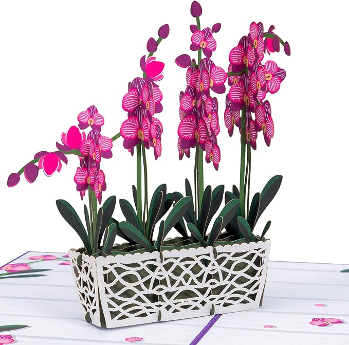 Paper Love Pop Up Cards 2 Pack - Includes 1 Orchid and 1 Flower Truck, For All Occasions, Mother Day, Birthday, Just Because- Includes Envelope and Note Tag