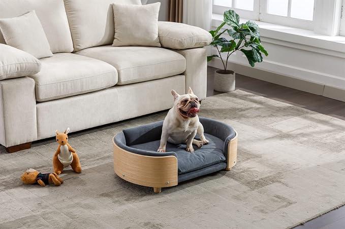 Scandinavian Dog Bed Mid-Century Pet Sofa with Velvet Cushion & Solid Wood Legs, Removable Cover, 30.7” for Medium Dogs, Natural Frame & Dark Grey Cushion