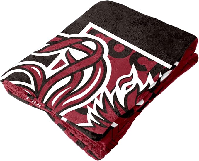 Logo Brands NCAA Classic Fleece Throw Blanket -50” x 60” Ultra-Soft Game Day Blanket with Bold Team Colors & Logo – Cozy College Team Bedding for Fans & Alumni
