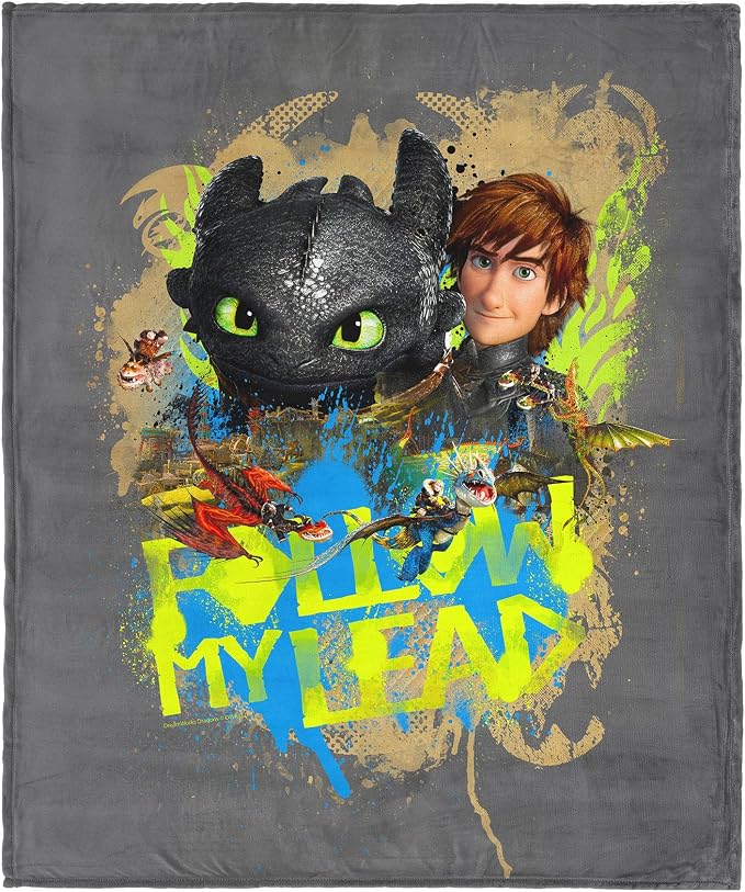 Northwest How to Train Your Dragon Follow My Lead Silk Touch Throw Blanket 40x50 inches