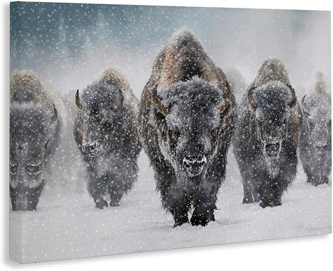Indomitable Bison in Snow, 30 x 45 Inch Canvas Wall Art | Stupell Industries · By Mark Kelso · Ready to hang · Perfect for living room · family room · or lounge · Made in USA