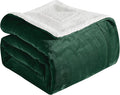 Elegant Comfort Ultra Soft Reversible Flannel Sherpa Blanket - Cozy Silky Fleece Throw for Couch, Bed - Plush Fuzzy Warm Winter Blanket for Gift, Full, Hunter Green