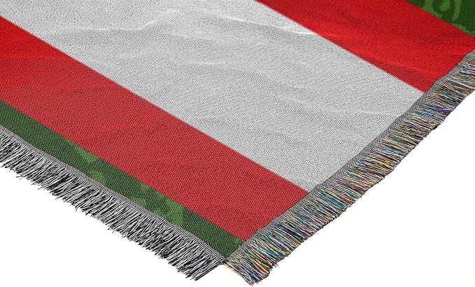 Northwest NFL Woven Tapestry Wall Hanging, 48 x 60 Inches, Officially Licensed, Decorative Fringes