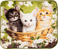Northwest Wild Heritage Raschel Throw Blanket, 50" x 60", Basket of Kittens