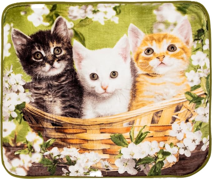 Northwest Wild Heritage Raschel Throw Blanket, 50" x 60", Basket of Kittens