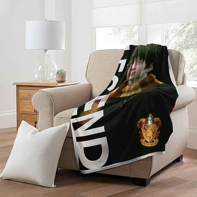 Northwest Harry Potter Micro Raschel Throw Blanket, 46" x 60", Legend