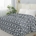 Elegant Comfort Luxury Velvety-Soft Coral Flannel Blanket Micro-Velour Ultra-Softness Fuzzy Plush, Full/Queen, Grey
