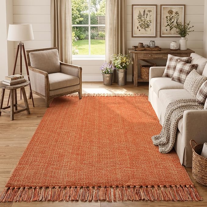 Collive 4' x 6' Living Room Area Rug, Modern Farmhouse Comfy Bedroom Rugs Terracotta Woven Dining Room Carpet, Reversible Accent Rug for Nursery Room Bedside Fall Decor