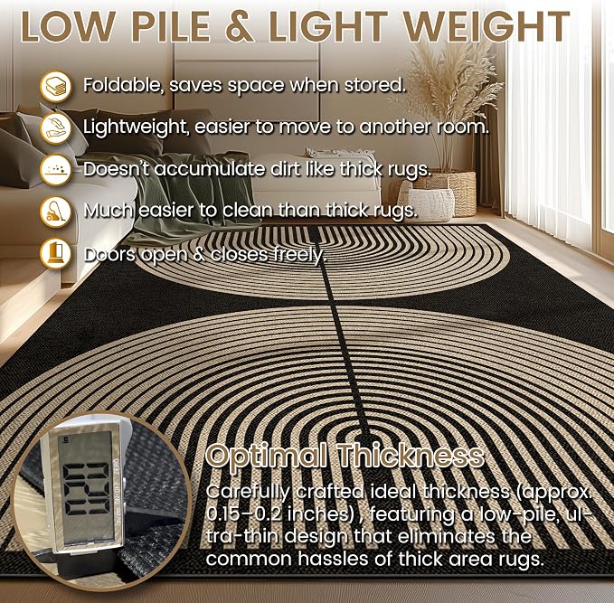 Washable Rainbow Easy Jute Rug 5x7, Black Neutral Geometric Modern Outdoor Indoor Patio Farmhouse Large Rugs, Woven Non Slip Thin Carpet for Living Dining Room Bedroom Classroom Kids Nursery