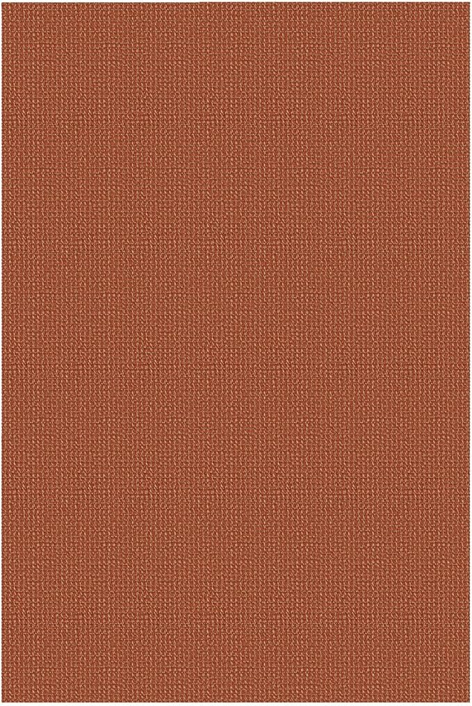IOHOUZE Washable Area Rug 3x5 Non Slip Rubber Backed Woven Rugs for Entryway Rugs Indoor Outdoor Doormat Throw Rug Floor Carpet for Entrance Kitchen Front Door, Burnt Orange/Tan