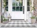 Grey and White Front Porch Rug 2'X4.3' Buffalo Plaid Outdoor Rug Cotton Woven Washable Indoor Outdoor Area Rug for Welcome Door Mat Entryway Dining Room Bedroom Living Room