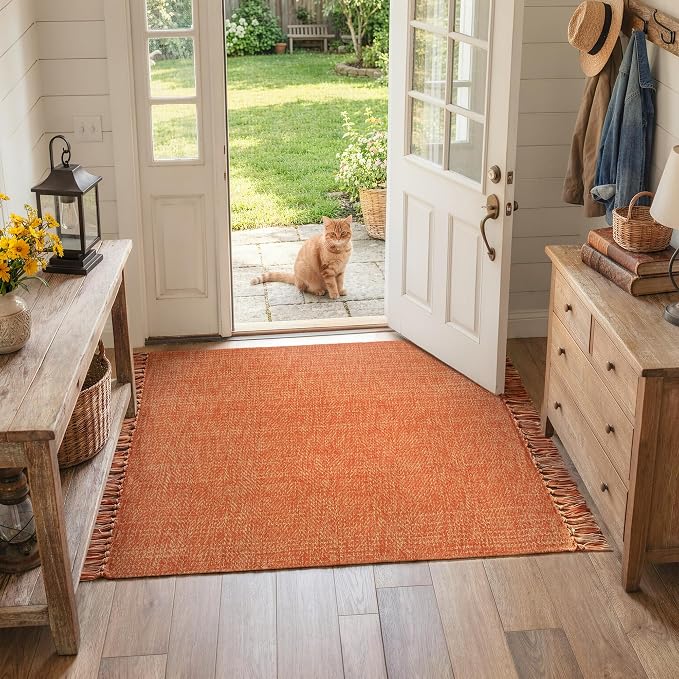 Collive 3' x 5' Indoor Outdoor Rug, Modern Farmhouse Entryway Rug Washable Kitchen Rugs, Hand-Woven Front Door Mat Throw Carpet for Bedside Nursery Porch Terracotta Fall Decor