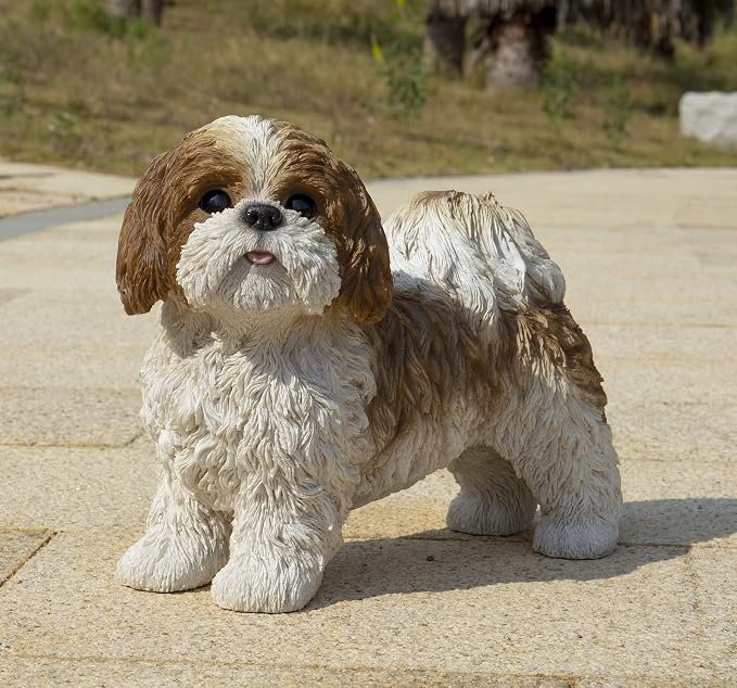 HI-LINE Gift Brown & White Standing Shih TZU
