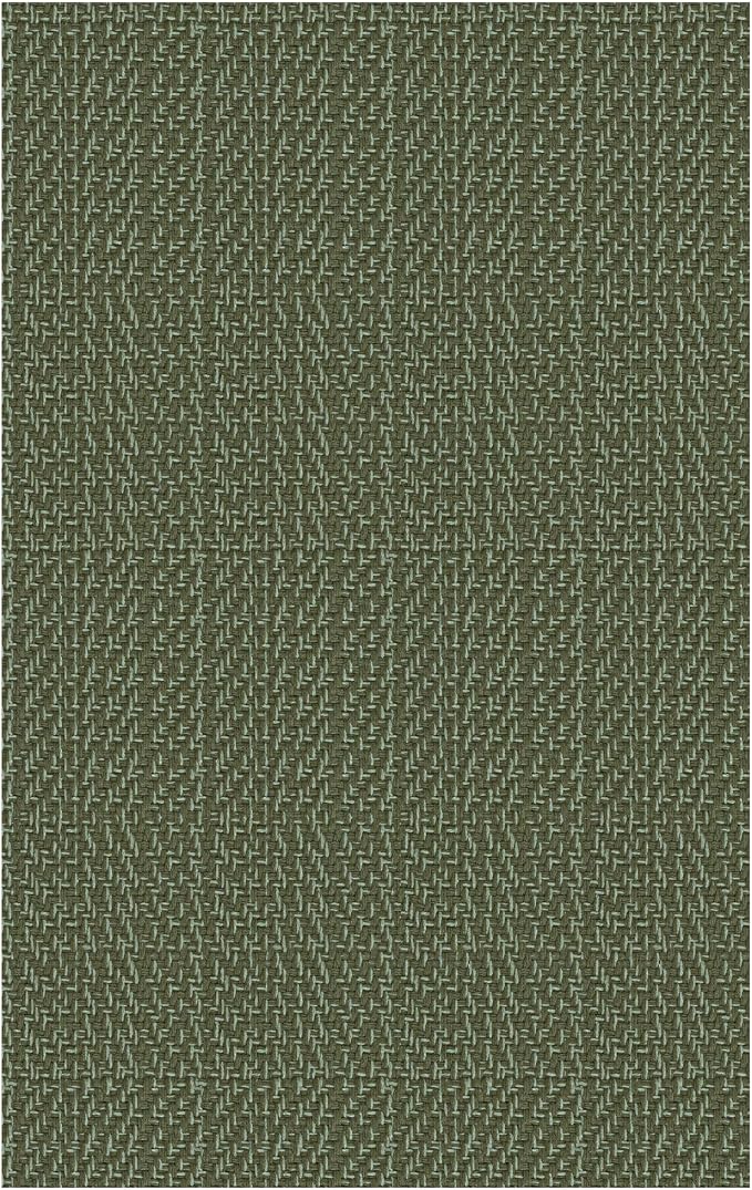 IOHOUZE Small Area Rug 2x3 Washable Woven Rugs for Entryway Non Slip Rubber Backed Front Door Rugs Indoor Doormat Throw Rug Floor Carpet for Entrance Kitchen, Olive Green/Dusty Green