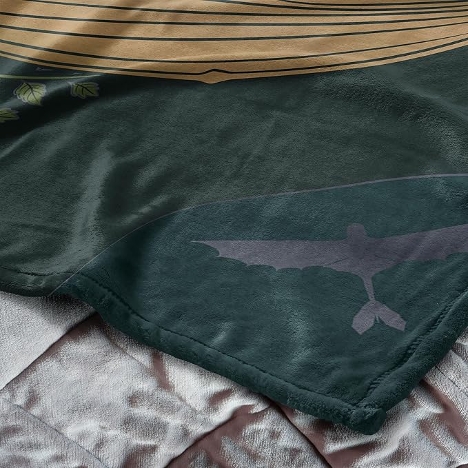 How to Train Your Dragon Hiccup and Toothless Silk Touch Throw Blanket 40x50 inches