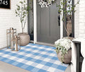 3'x5' Outdoor Rug,Light Blue and White Buffalo Checkered Porch Mat Farmhouse Washable Front Door Mat Outdoor for Hello Welcome Mat,Bedroom,Entryway,Patio