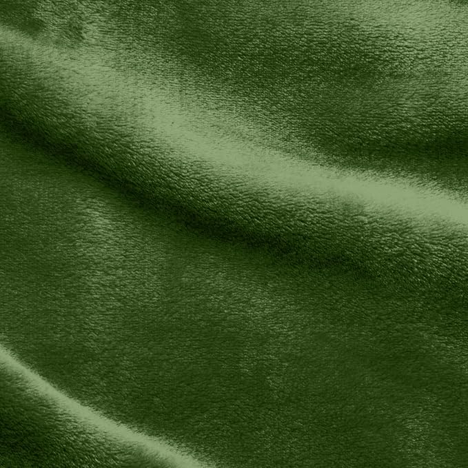 Elegant Comfort Luxury Velvety Softness Fuzzy Plush Micro-Velour Ultra-Soft Blanket, Full/Queen, Green