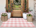 Pink Area Rug 3x5 for Entryway, Checkered Porch Rug, Cotton Washable Throw Rug for Beside Girls' Bedroom, Classroom Kitchen Front Door Indoor Outdoor Entrance