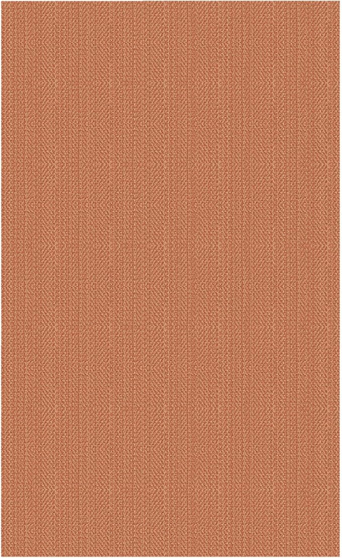 IOHOUZE Washable Area Rug 3x5 Non Slip Rubber Backed Woven Rugs for Entryway Rugs Indoor Outdoor Doormat Throw Rug Floor Carpet for Entrance Kitchen Front Door, Rustic Orange