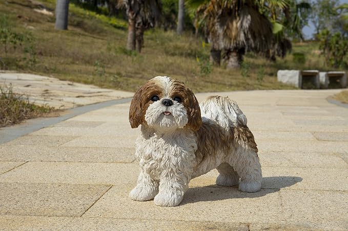 HI-LINE Gift Brown & White Standing Shih TZU
