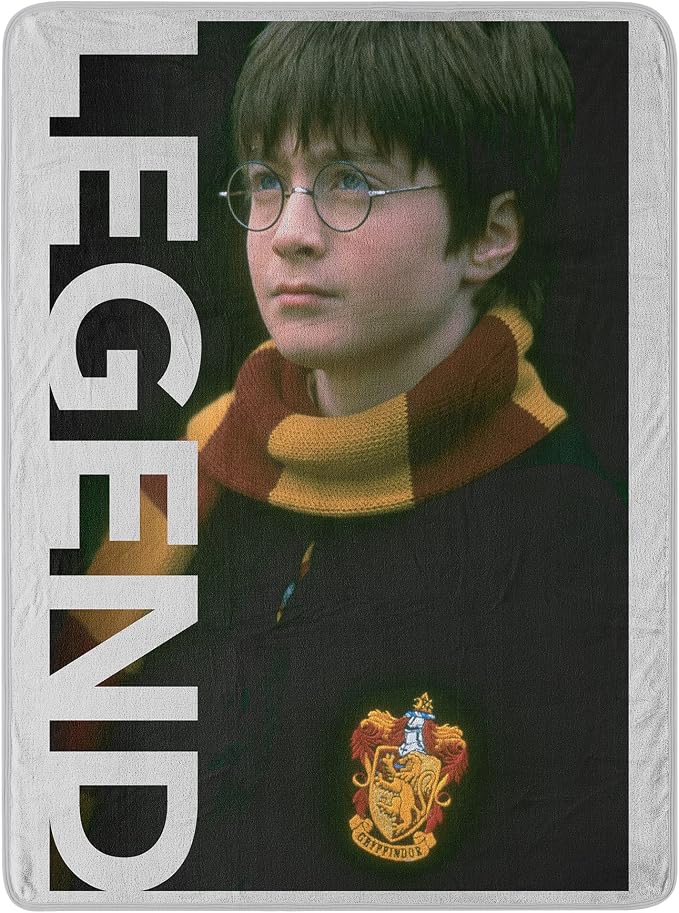 Northwest Harry Potter Micro Raschel Throw Blanket, 46" x 60", Legend