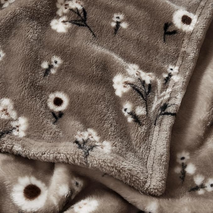 Lucky Brand Daisy Beige Floral 90"X90" Cozy Plush Blanket - Premium Microfiber Throw for Luxurious Comfort and Style Full/Queen Size