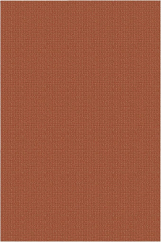 IOHOUZE Washable Area Rug 4x6 Non Slip Rubber Backed Woven Rugs for Entryway Indoor Bedroom Rugs Kitchen Rug Floor Throw Carpet for Entrance Front Door Living Room, Burnt Orange/Tan