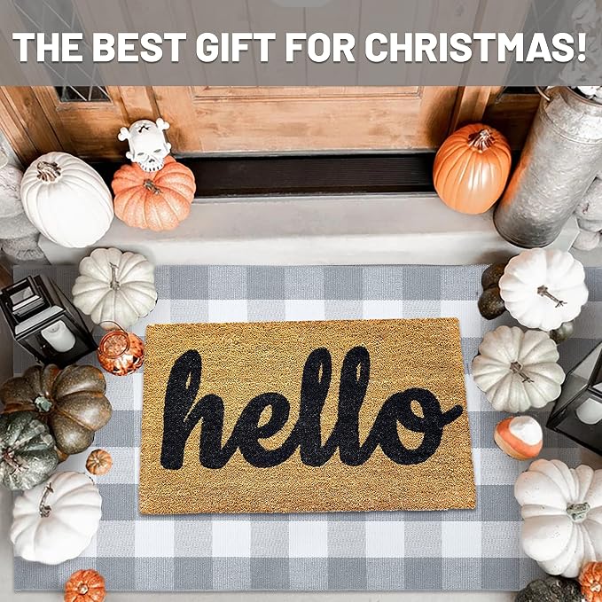 IOHOUZE Buffalo Plaid Checkered Rug 3x5 Ft Front Door Mats, Washable Area Rugs for Front Porch Decor, Spring Summer Welcome Mats Outdoor, Gray White Rug for Farmhouse/Entryway/Home Entrance