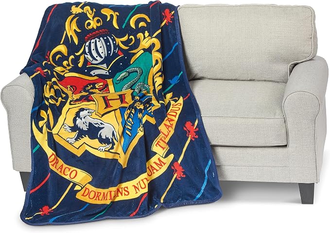 Northwest Harry Potter Micro Raschel Throw Blanket, 46" x 60", House Pinstripes